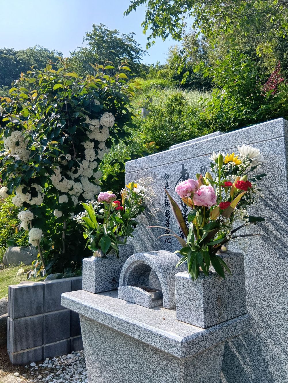 250520144032972.JPG